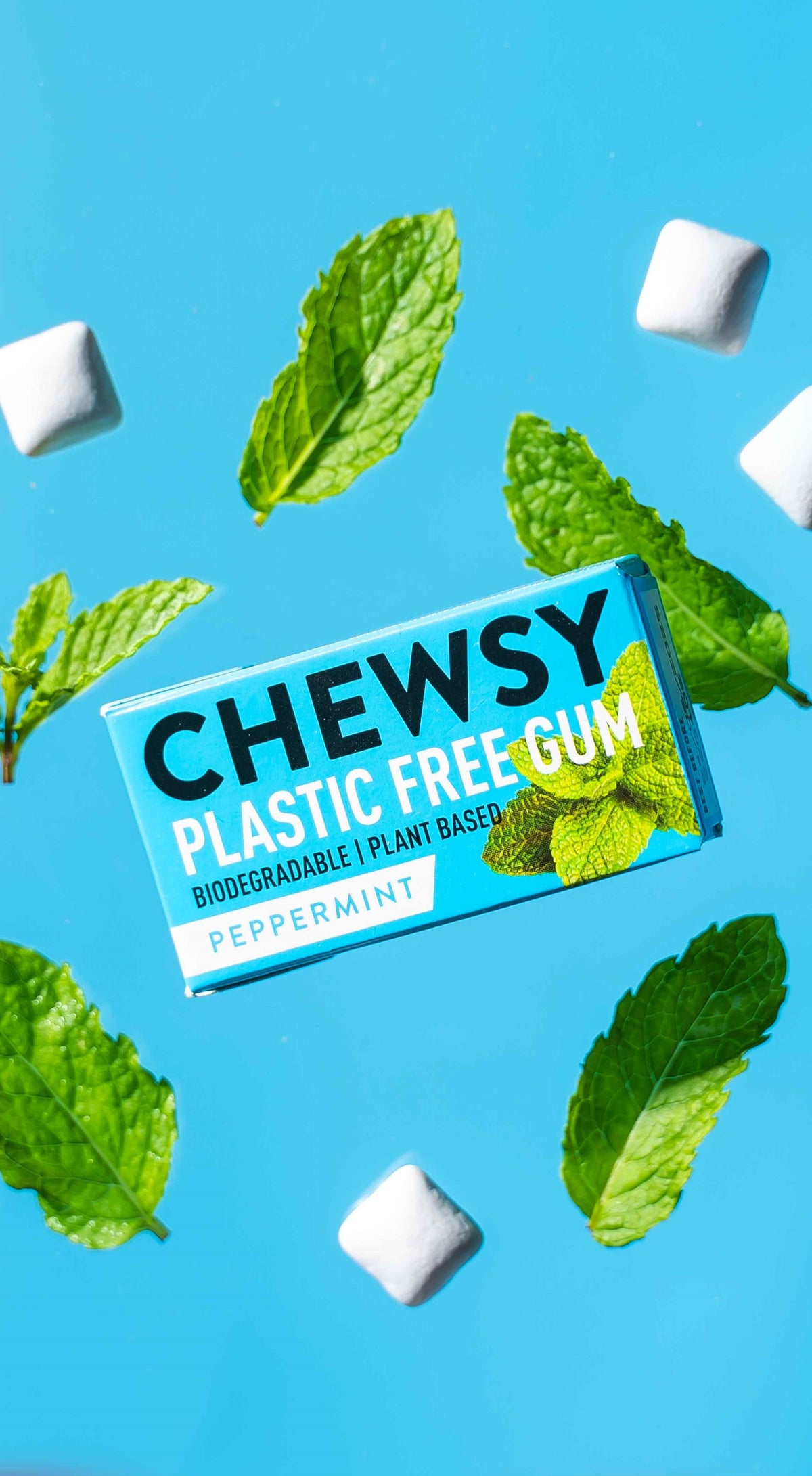 Chewsy | Plastic Free Gum